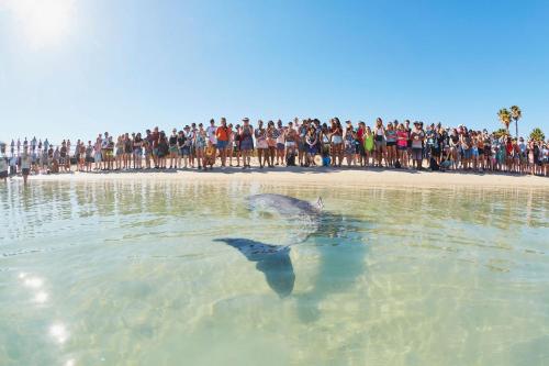Monkey Mia Dolphin Resort