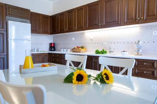 Arokaria Beach House – Nikiana, GA