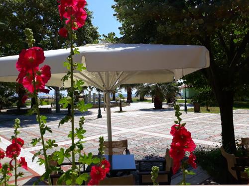 Al Mare - image 9