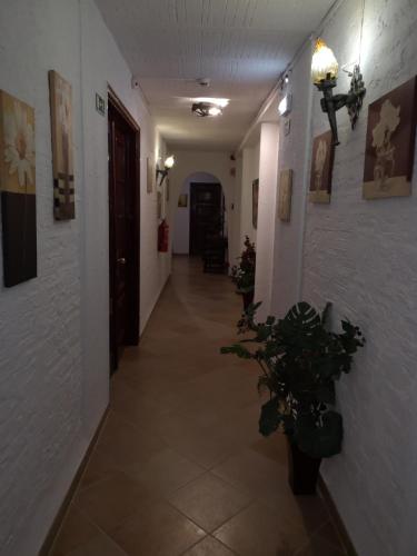 Hotel Nazareth - image 14