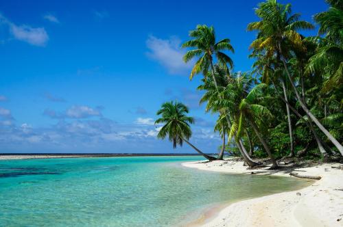 strand, Ninamu Resort in Atoll Tikehau