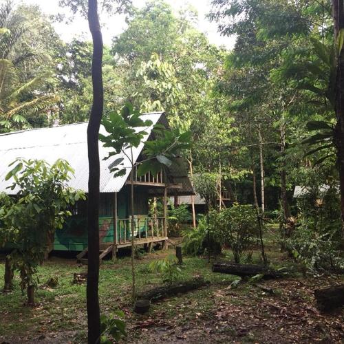 . Cabañas Maikü Selva