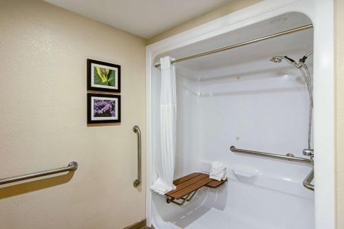 King Suite with Roll-In Shower - Accessible/Non-Smoking