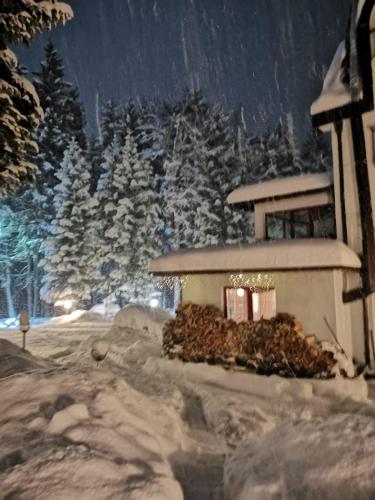 Saint George Borovets Hotel - image 11