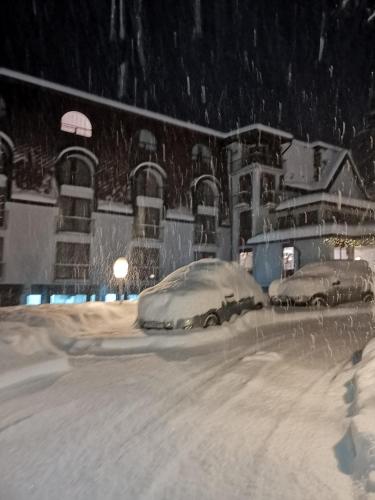Saint George Borovets Hotel - image 7