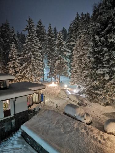 Saint George Borovets Hotel - Borovets