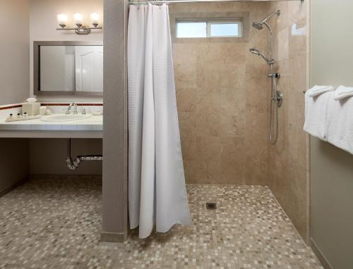 Cambria Landing Inn and Suites - image 7