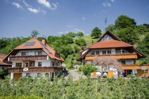 Ferienwohnungen Müller - Apartment - Haslach im Kinzigtal