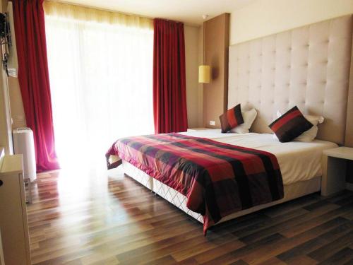 Deluxe Single Room - Free Spa