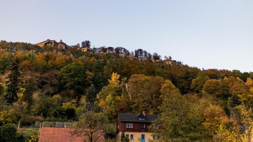 Ferienwohnung Sorgatz