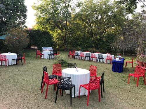 Dārzs, Baaz Jungle Resort in Teliya