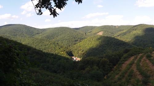 Guest House Glogovac