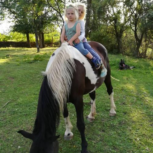 Guest House Glogovac