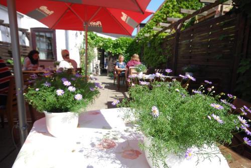 Garden, Hotel Cafe Frida in Bredstedt