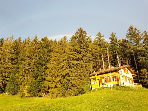  Bodenseeblick in Wolfhalden