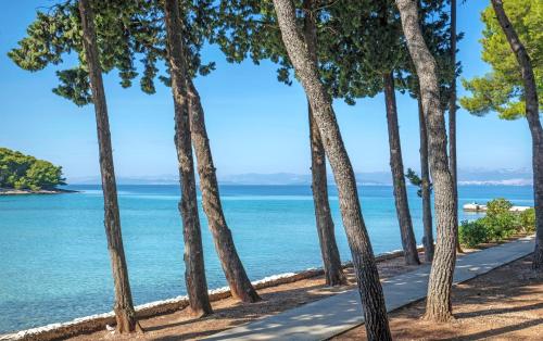 Bluesun Villa Vela Luka - image 8