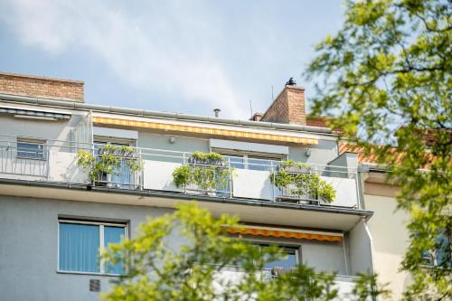 Apartment with Terrace image 6