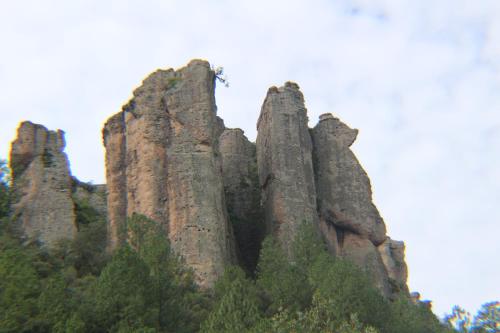 Hotel Paraiso del Oso