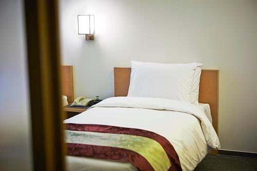 Seoul Hotel ShinShin Myeongdong, Сеул (фото 6)