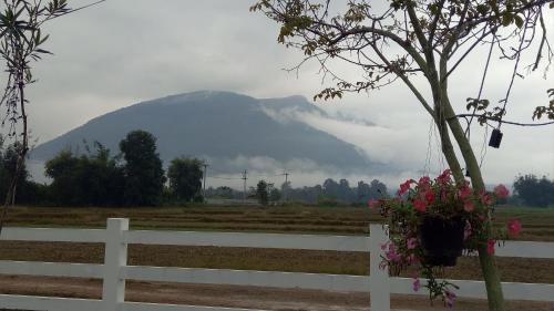 Ban Thung Talay Mok Chiangdao