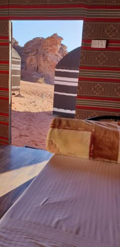 Real Bedouin Experience Tours & Camp