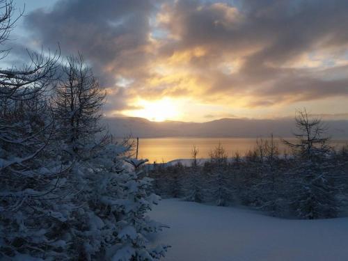 Bakkakot 1 - Cozy Cabins in the Woods Bakkakot 1 - Cozy Cabins in the Woods