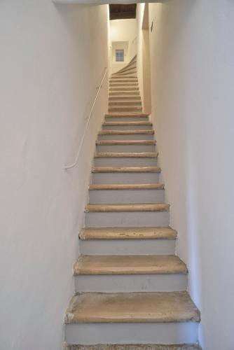 B&B Murex