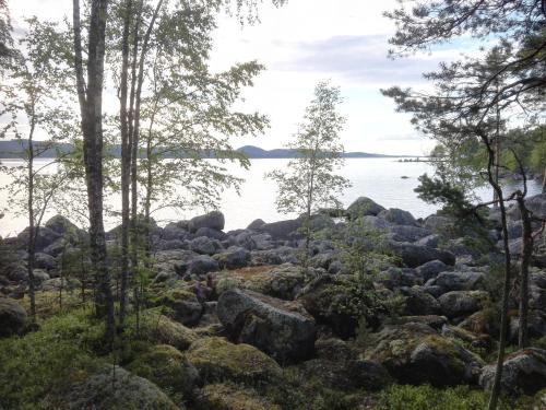 Surrounding environment, Nukula Guestrooms in Oravasaari