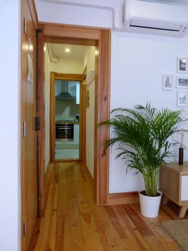 The Heart of Lisbon House, Lisabon (fotografie 8)