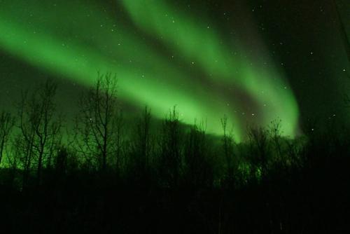 Bakkakot 2 - Cozy Cabins in the Woods Bakkakot 2 - Cozy Cabins in the Woods