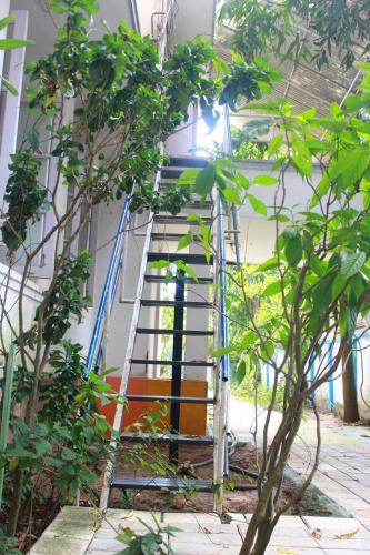 Johnson's Homestay - Ecohouseboat