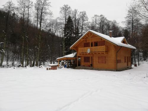 Chalet by the river, Văliug (Foto 6)