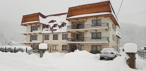 Viesnīcas āriene, Daglezja in Przyborów