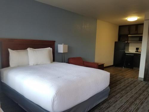 Guestroom, Hotel South Tampa & Suites in West Tampa