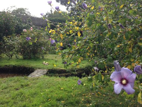 Les Empreintes - image 5