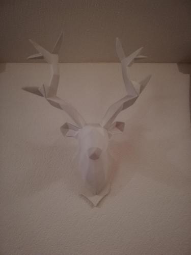 Studio Bel-Hüs / Bel-Häx, Blatten bei Naters (foto 3)