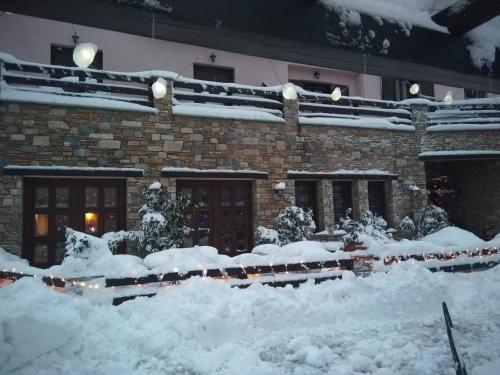 Guesthouse Iris - image 6