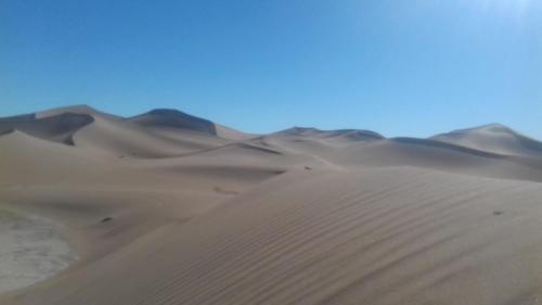 Bivouac Dune Iriki in Foum Zguid