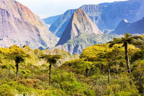 T2 Cosy a 100m de la plage, Saint-Pierre, Luma Appart