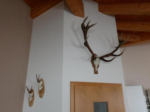 Chalet Maiskogel – Kaprun, SD