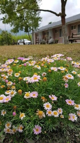 薔薇如画星空民宿評價、特色體驗、房價資訊、訂房連結 – 溫馨親切服務 - 照片 8