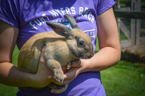 Bugaboo Cottages Bugaboo Cottages