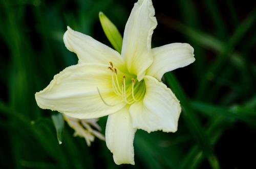 Bugaboo Cottages Bugaboo Cottages