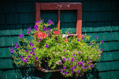 Bugaboo Cottages Bugaboo Cottages