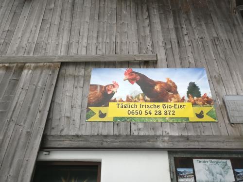 Haus Falkner