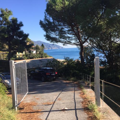 Il nido della gazza Il nido della gazza