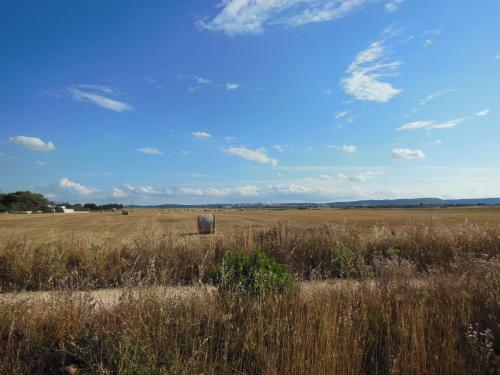 Residence Club Barbara - image 7