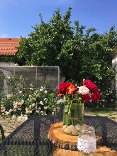Habánský dům, Dolní Věstonice (foto 7)
