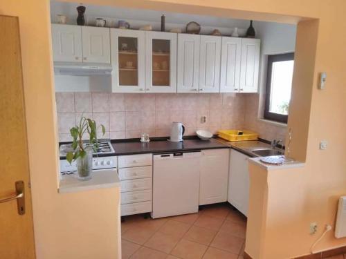 Apartments by the sea Kneza, Korcula - 10168