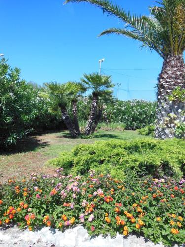 Residence Club Barbara - image 10